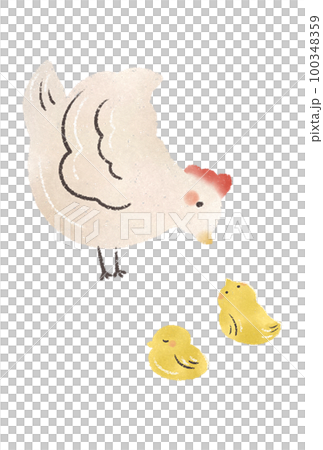 Illustration material of a cute chicken and chick in a watercolor style Illustration material of a cute chicken and chick in a watercolor style 100348359