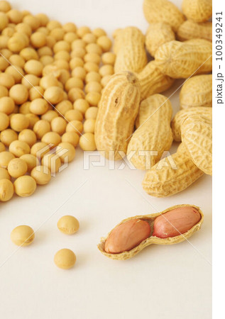 大豆と落花生 100349241