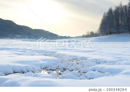 糠平湖のフロストフラワー 100349264