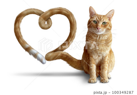 Cat Love 100349287