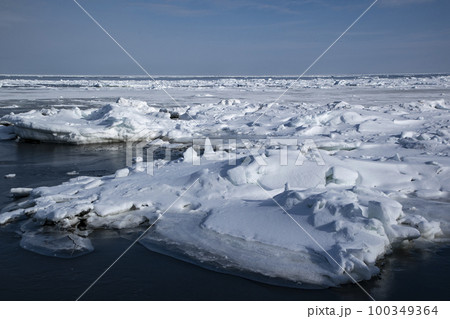 以久科原生花園 100349364