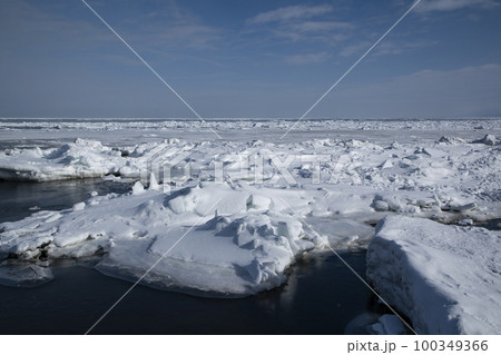 以久科原生花園 100349366