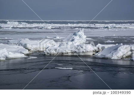 以久科原生花園 100349390