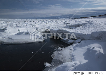 以久科原生花園 100349392