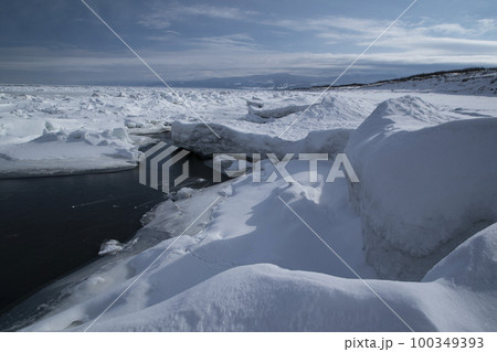 以久科原生花園 100349393