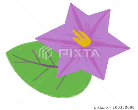 茄子の花 茄子の花 100350099