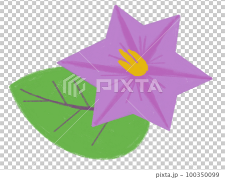 茄子の花 茄子の花 100350099