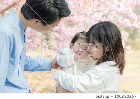 お花見をする家族 100350267