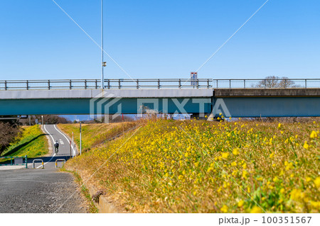 川沿いの歩行者自転車用道路と橋と早春の堤とサイクリスト 川沿いの歩行者自転車用道路と橋と早春の堤とサイクリスト 100351567