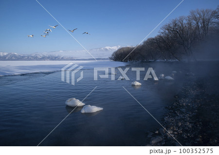 屈斜路湖 100352575