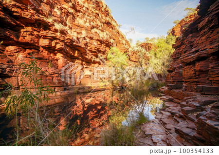 カリジニ国立公園の渓谷美 100354133