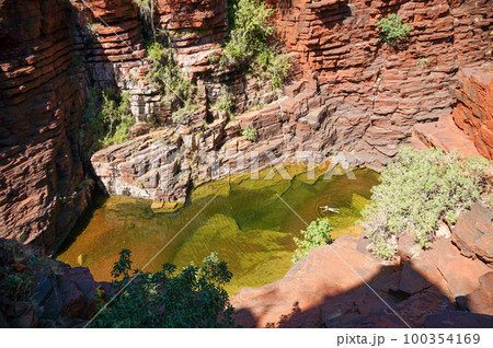 カリジニ国立公園の水溜りで泳ぐ観光客 カリジニ国立公園の水溜りで泳ぐ観光客 100354169