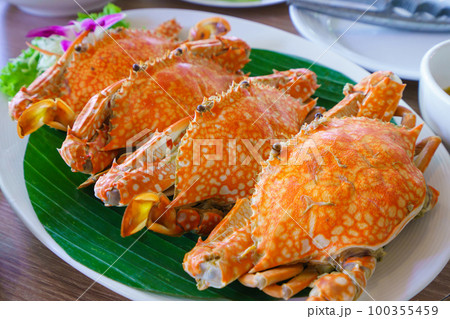 steamed fresh crab cooking on white plate steamed fresh crab cooking on white plate 100355459