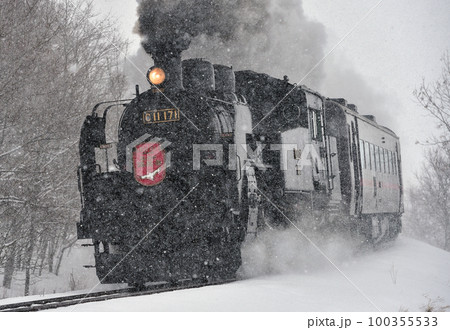 釧網本線　遠矢ー釧路湿原　JR北海道　C11-171＋14系＋スハシ44　SL冬の湿原号 100355533