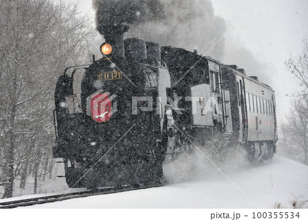 釧網本線　遠矢ー釧路湿原　JR北海道　C11-171＋14系＋スハシ44　SL冬の湿原号 100355534