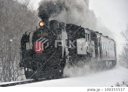 釧網本線　遠矢ー釧路湿原　JR北海道　C11-171＋14系＋スハシ44　SL冬の湿原号 100355537