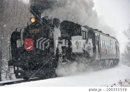 釧網本線　遠矢ー釧路湿原　JR北海道　C11-171＋14系＋スハシ44　SL冬の湿原号 100355539
