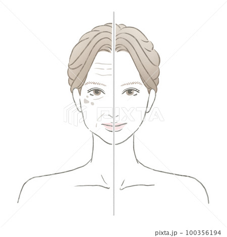 若い綺麗な肌と加齢サインの出たお肌の対比 美容イメージイラスト 100356194