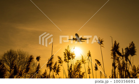 View from the ground on a flying plane at sunset.  100356691