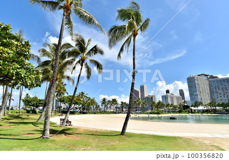 ハワイの休日 100356820