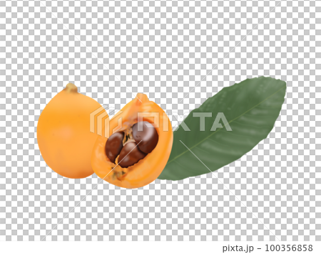 Loquat with leaves Loquat with leaves 100356858