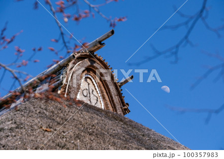 茅葺屋根と月 茅葺屋根と月 100357983