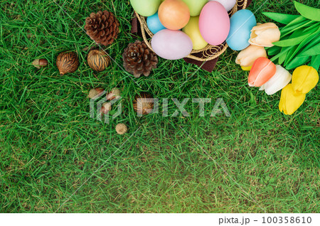 Happy Easter holiday greeting card concept. Colorful Easter Eggs and spring flowers on green grasses background. Flat lay, top view, copy space. 100358610