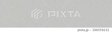 Texture of gray matt felt for backgrounds. Panoramic seamless texture 100359232