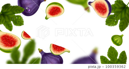 Fig Realistic Frame 100359362