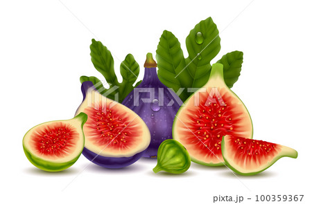 Figs Realistic Illustration 100359367