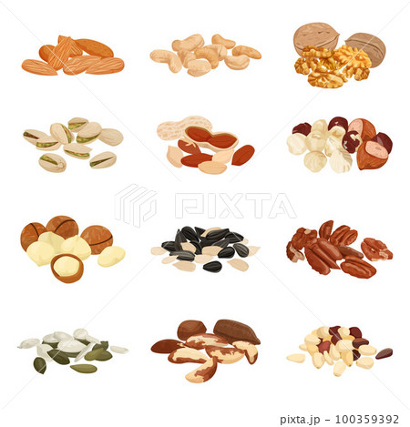 Nuts Variety Pile Set Nuts Variety Pile Set 100359392