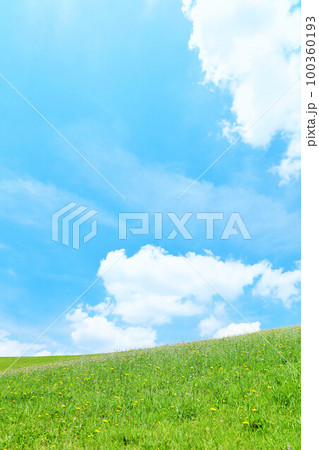 夏の青空と新緑の草原風景 100360193
