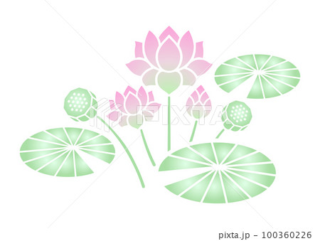 蓮の花 カラー 100360226