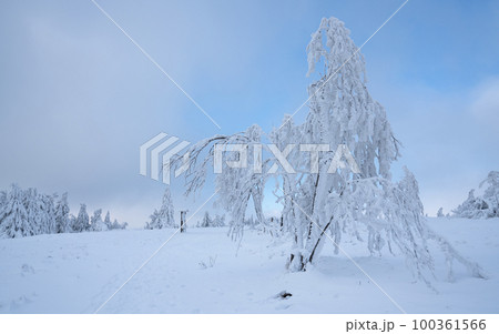Kahler Asten, Sauerland, Germany 100361566