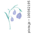 花の水彩イラスト 100362195