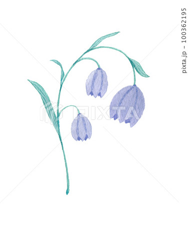 花の水彩イラスト 100362195