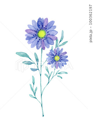 花の水彩イラスト 100362197