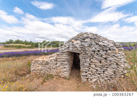 Borie in a lavender field in Provence. 100363267