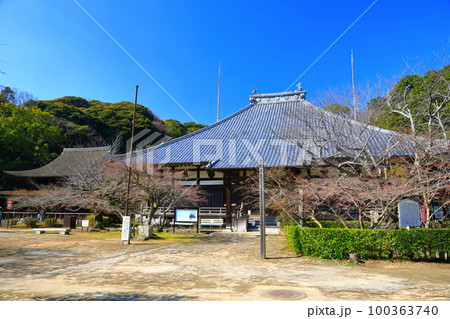 【山口県】晴天の功山寺（法堂と仏殿） 100363740