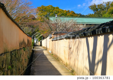 【山口県】晴天の長府の古江小路 100363781