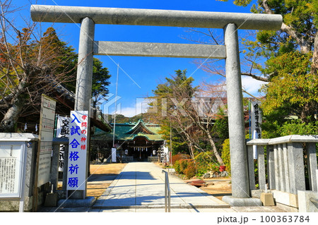 【山口県】晴天の長府の乃木神社 100363784