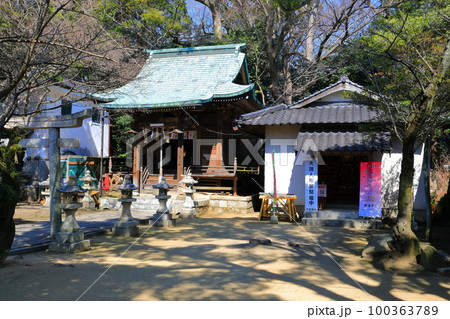 【山口県】晴天の長府の八坂神社 100363789