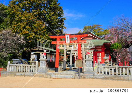 【山口県】晴天の長府の忌宮神社 【山口県】晴天の長府の忌宮神社 100363795