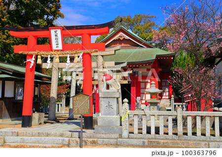 【山口県】晴天の長府の忌宮神社 100363796