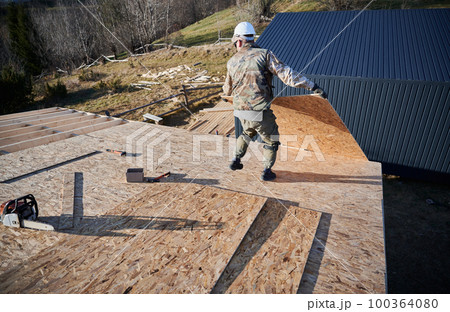 Carpenter mounting wooden OSB panel on rooftop of future cottage. Man worker building wooden frame house. Carpentry and construction concept. 100364080