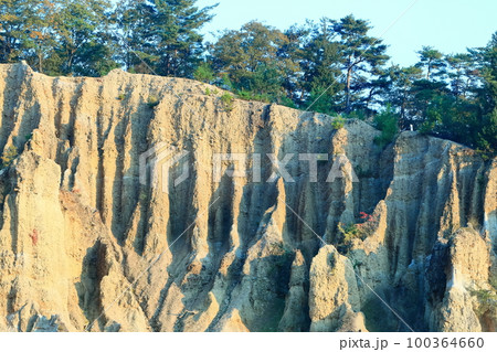 【徳島県】阿波の土柱（世界三大土柱、国の天然記念物） 100364660