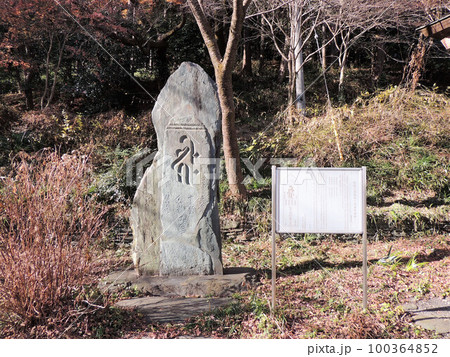 慈光寺 弘長二年弥陀一尊種子板碑 慈光寺 弘長二年弥陀一尊種子板碑 100364852