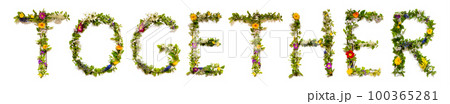 Blooming Flower Letters Building English Word Together Blooming Flower Letters Building English Word Together 100365281