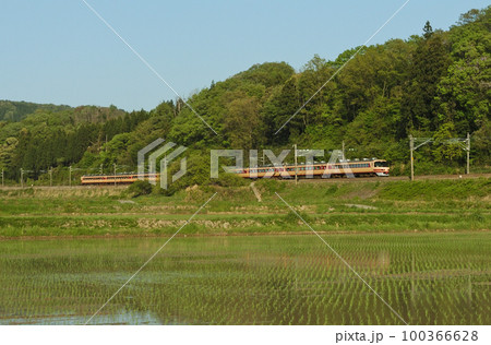 北陸本線　牛ノ谷ー細呂木　JR西日本　485系　A01編成（京都）　雷鳥 100366628