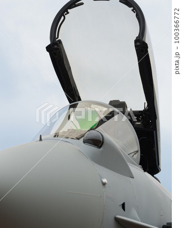 イギリス空軍タイフーンFGR4の機首部 イギリス空軍タイフーンFGR4の機首部 100366772